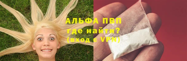 прущие грибы Карпинск