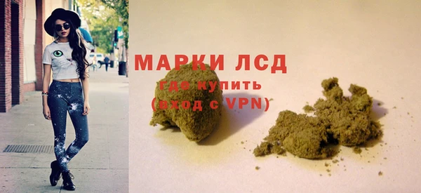 прущие грибы Карпинск