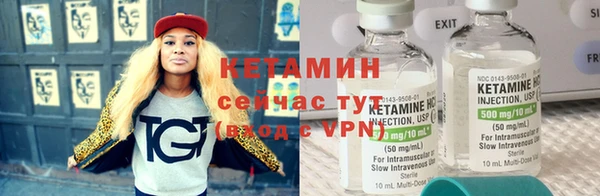 прущие грибы Карпинск