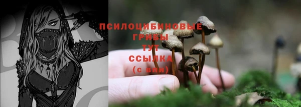 не бодяженный Касимов