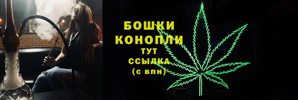 крисы Карталы