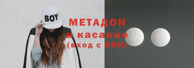 прущие грибы Карпинск
