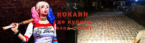 прущие грибы Карпинск
