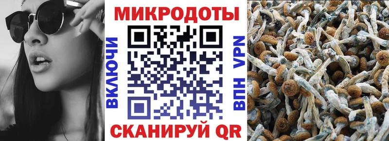 Псилоцибиновые грибы GOLDEN TEACHER  Купить где  Набережные Челны 